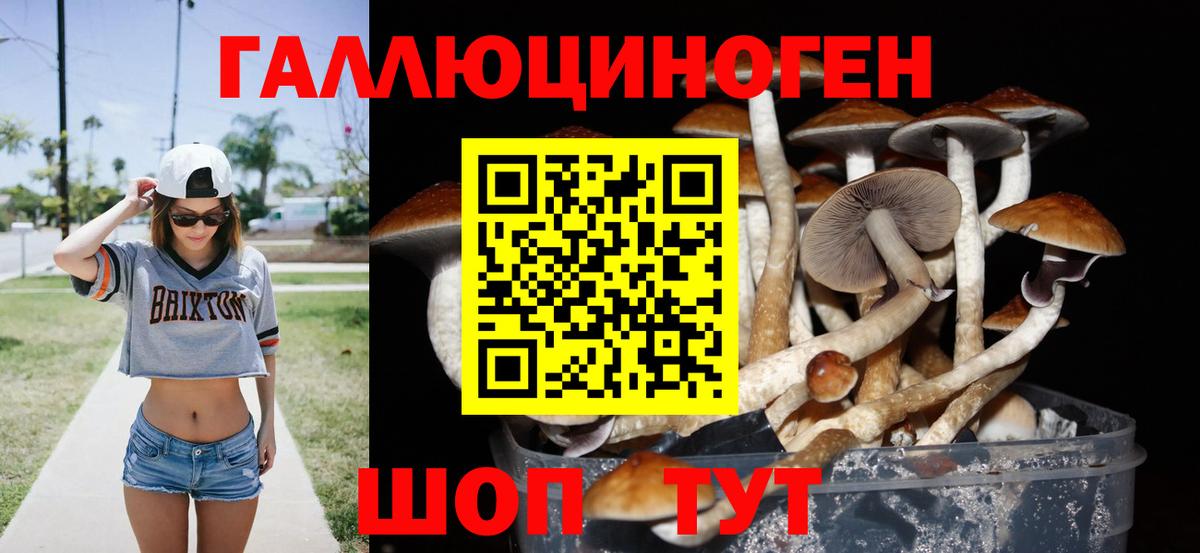 Псилоцибиновые грибы мухоморы  Галлюциногенные грибы прущие грибы  Вход с VPN  купить  сайты  Семёнов 